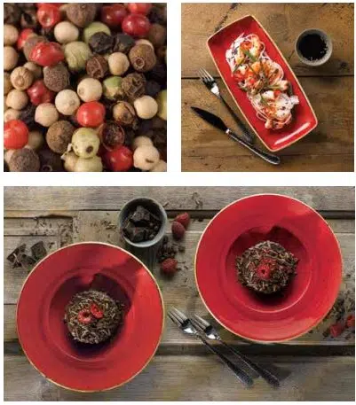 Churchill Stonecast Berry Red Geschirr