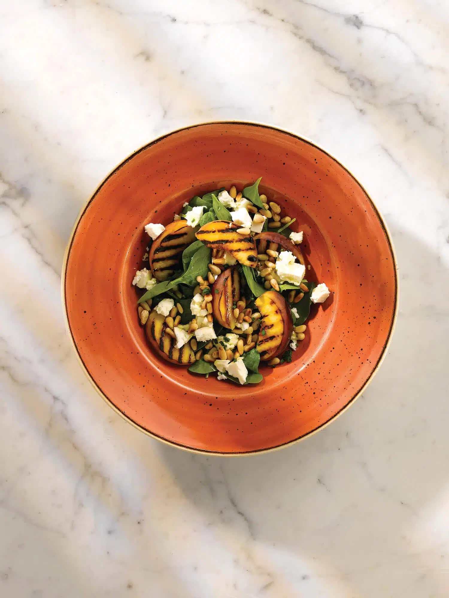 Churchill Stonecast Orange online kaufen bei Royal Dining