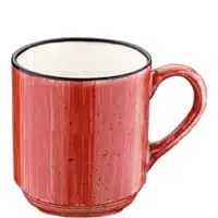APSBNC300MUG_1