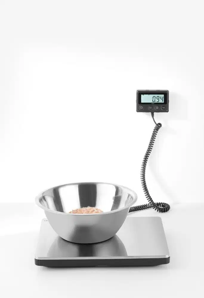 580462_OBW_2022_03_IMGP0114_R1