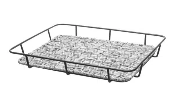 426524_OBW_2019_03_IMGP9749