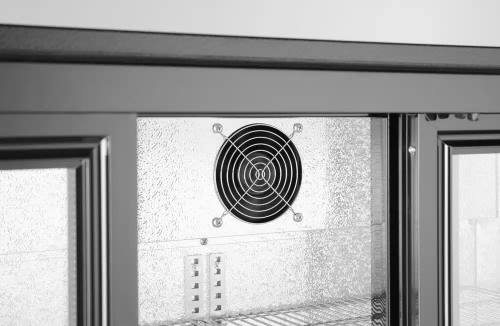 235836_ODW_2024_02_IMGP4321