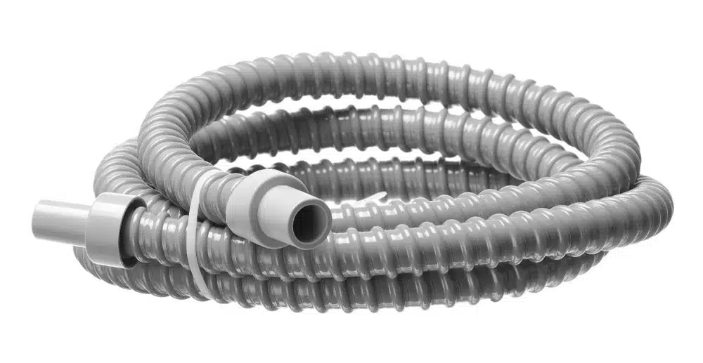 271575_ODW_2021_04_IIMGP7727