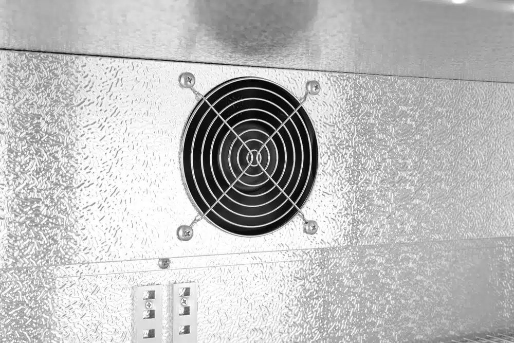 235836_ODW_2024_01_IMGP4320