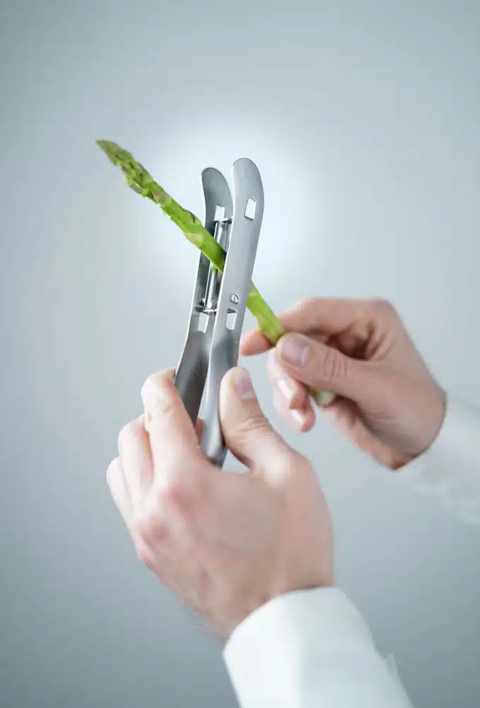 856406_OBW_2023_06_DSC02843