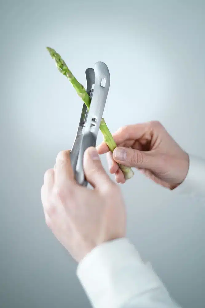 856406_OBW_2023_07_DSC02837