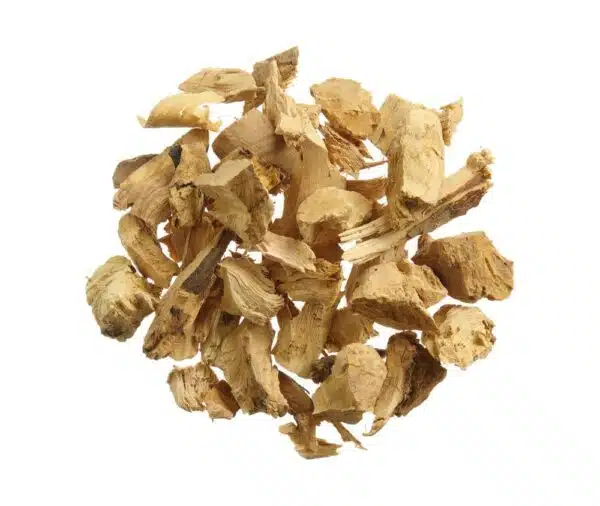 199381_OBW_2022_01_IMGP8277