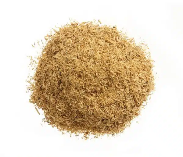 199268_OBW_2022_01_IMGP8305