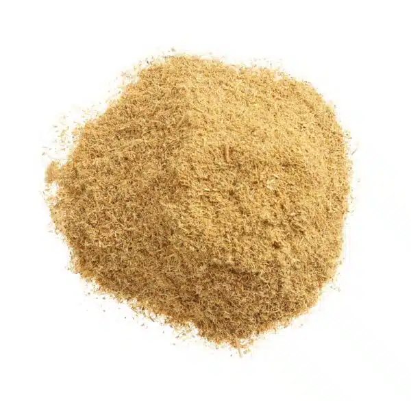 199220_OBW_2022_01_IMGP8309