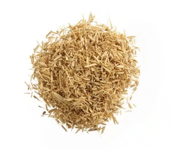 199282_OBW_2022_01_IMGP8292