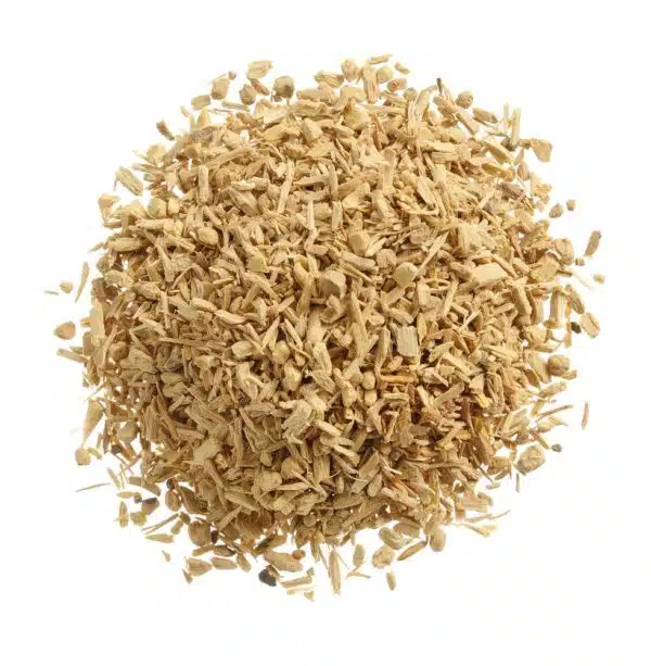 199299_OBW_2022_01_IMGP8299