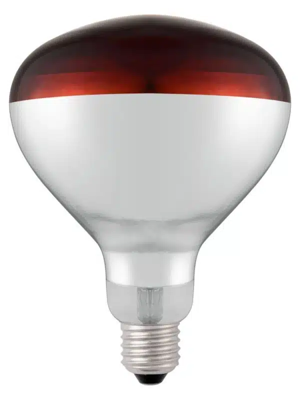 919217_shatterproof_bulb-red_02