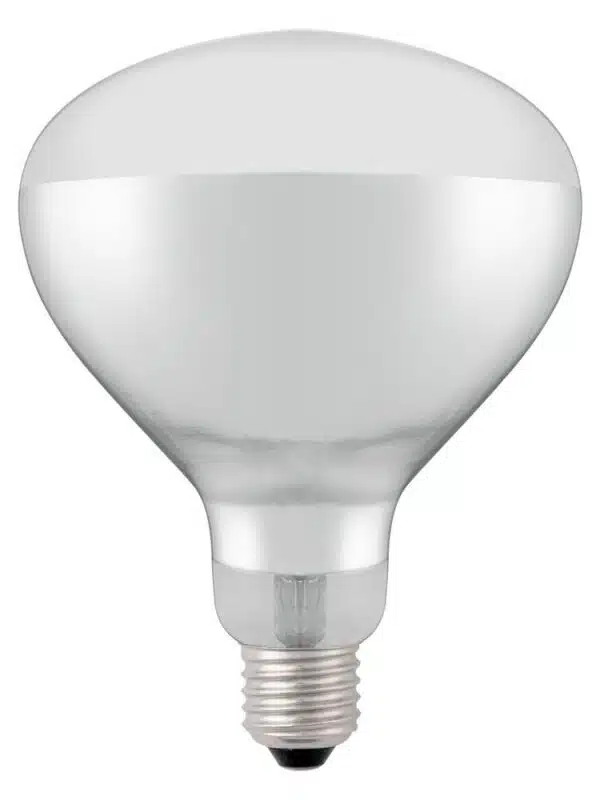 919200_shatterproof_bulb-white_02