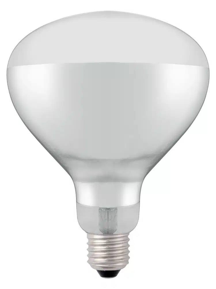 919200_shatterproof_bulb-white_02