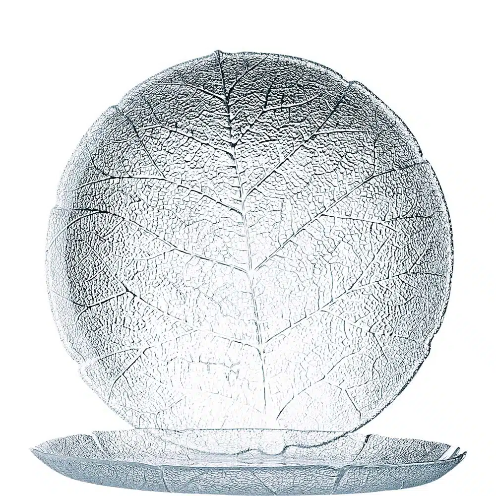 ARC10241_1
